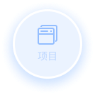 项目